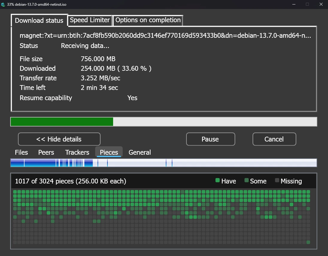 A torrent's progress window with its pieces map.