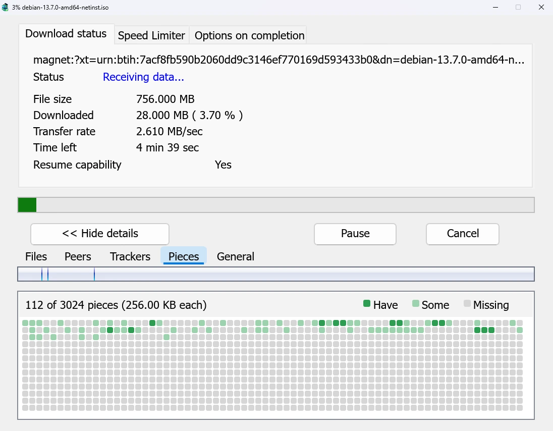 A torrent's progress window with its pieces map.